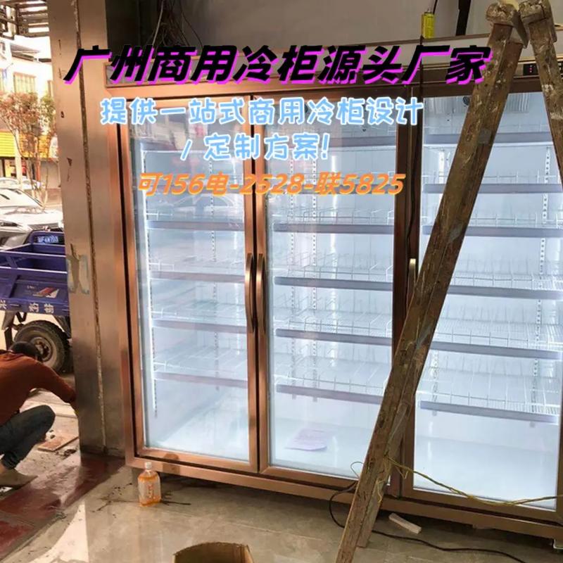 湛江坡头双门饮料柜工厂,水果冷柜价格多少(156联-2528 - 抖音